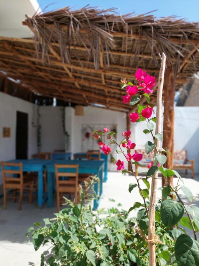 Karibu House Bed & Breakfast Paje Bagian luar foto